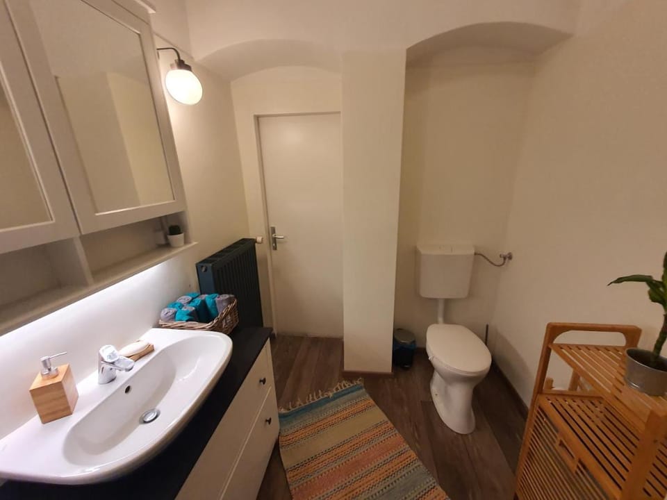 Central Graz Apartments Hotel in Graz