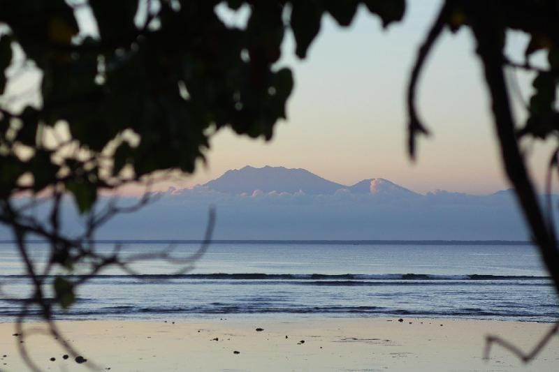 Jungle Hut G-land  Vacation rental in East Java