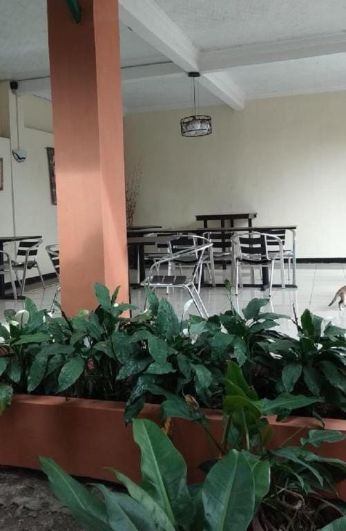 Purba Guest House Vacation rental in West Java