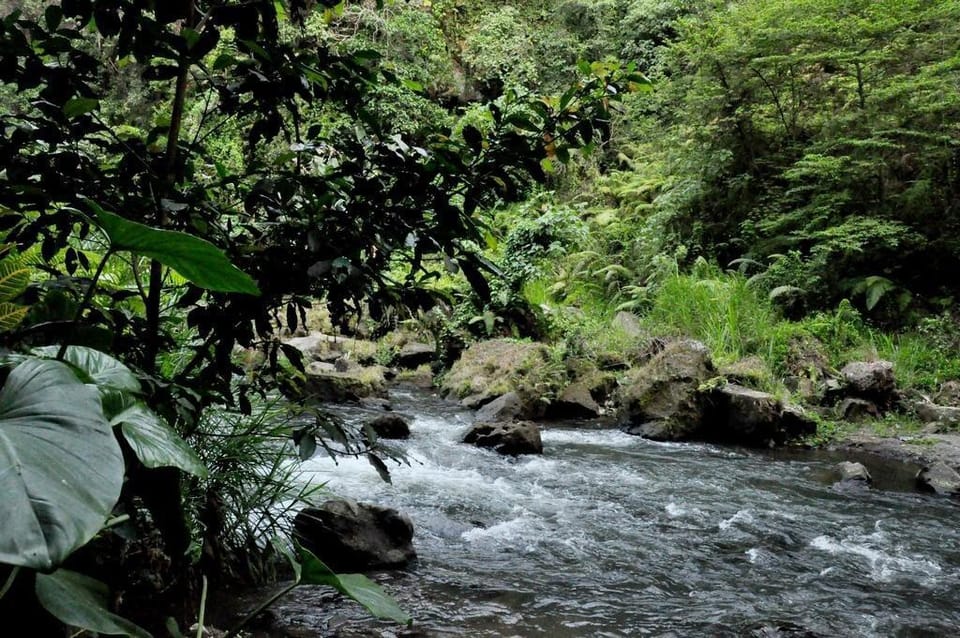 4BR Fresh River Villa in Blahbatuh