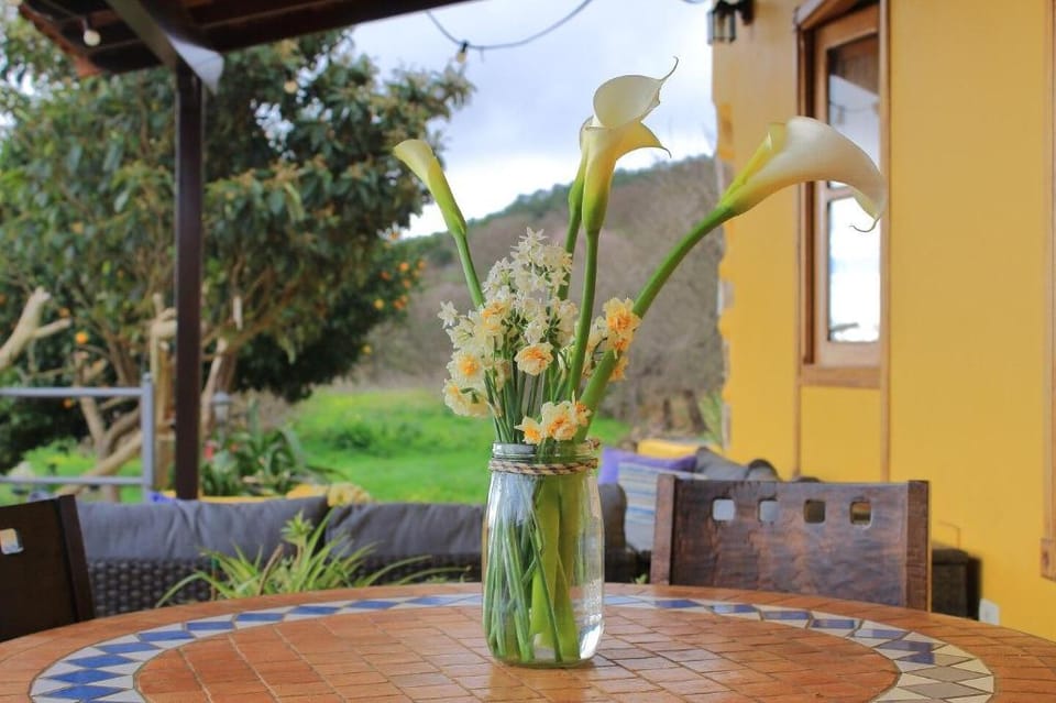 Finca La Majadera, Villa II Dormitorios Villa in Canary Islands