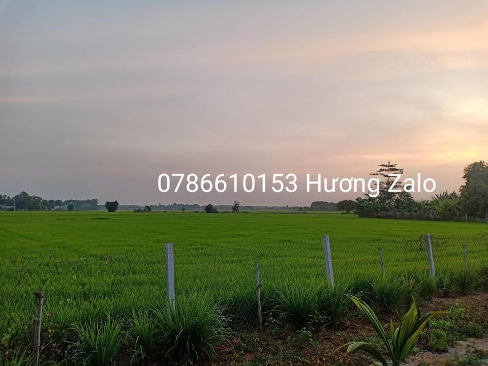Azalea Coffee Homestay 1 Vacation rental in Bình Thuận Province