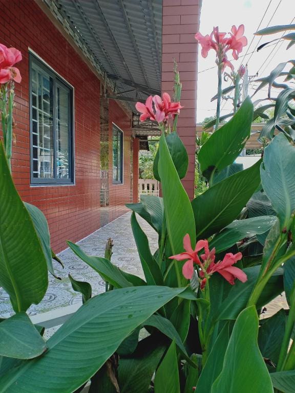 Azalea Coffee Homestay 1 Vacation rental in Bình Thuận Province