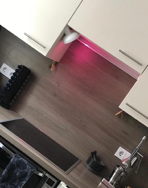 Design Luxury Loft at Marienplatz Super Central!!! Apartment in Munich