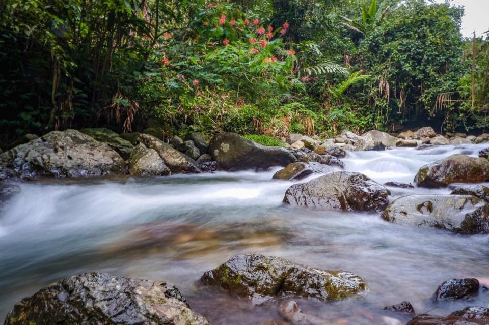 Habitat Hills by Santai Aja Hotel in Cisarua