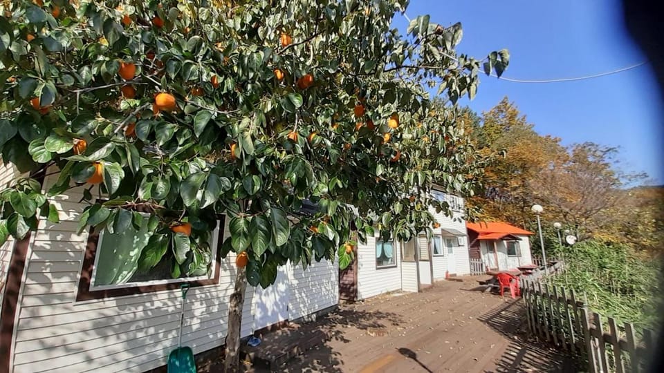 Dasanbang Pension Vacation rental in South Korea