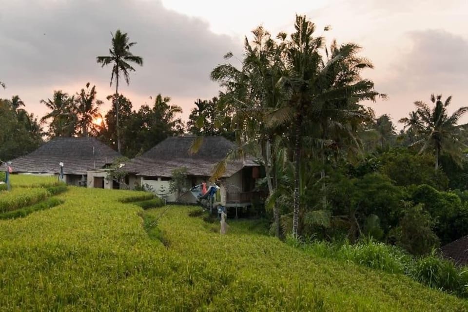 Ubud  Green Paradise. Villa Uma-Ijo Villa in Ubud