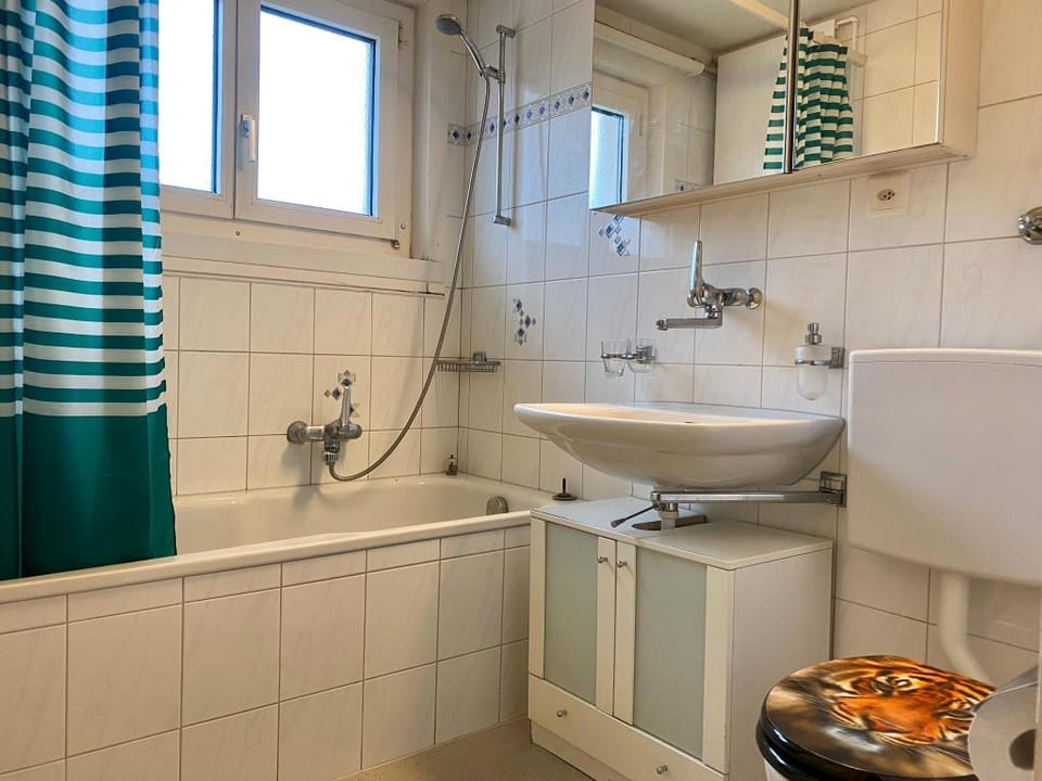 Amazing Villa at Lucerne City Villa in Lucerne