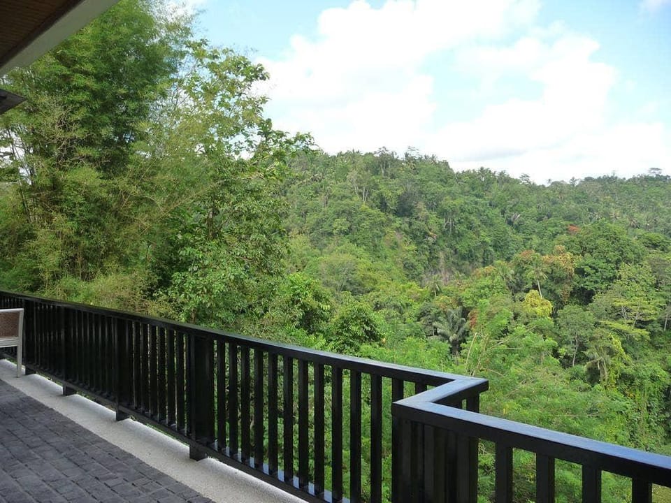 Luxury 1 BR Villa #Z181 Villa in Payangan