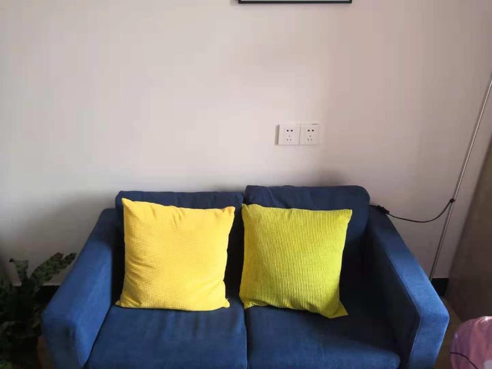  Affordable couple single rental Apartment in Nanjing
