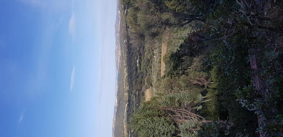 Stazzo Lu Rotu, completamente immerso nella natura Villa in Sardinia