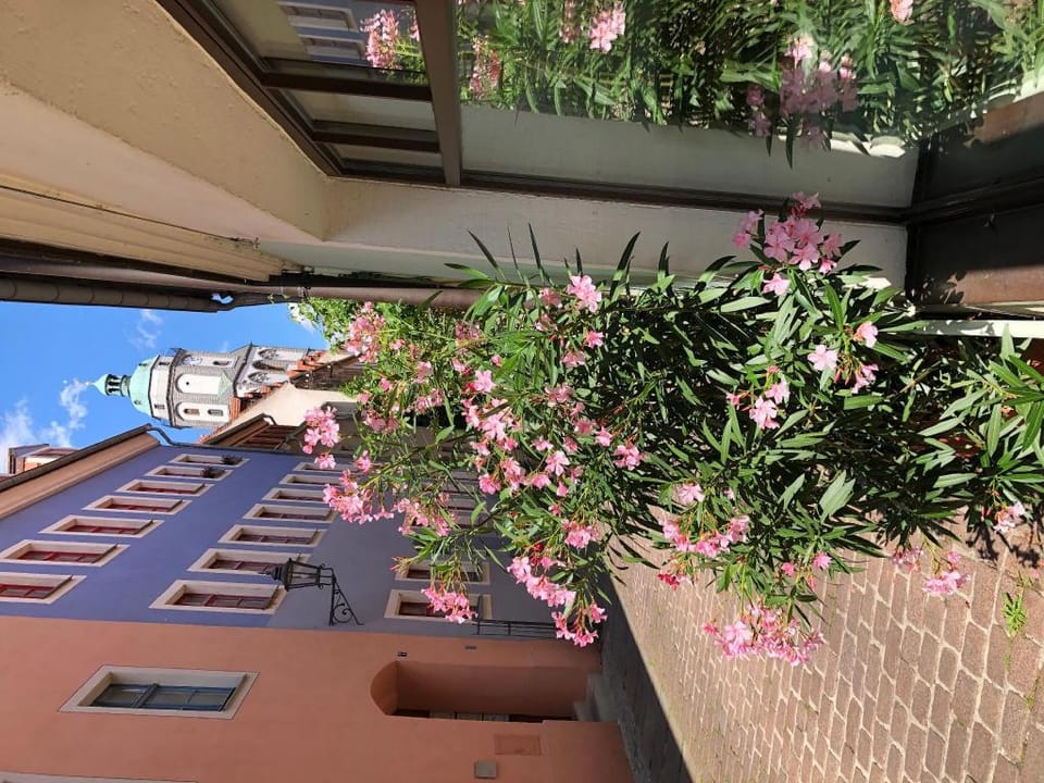 Stadthaus Rosengasse, Comfort Apartment Apartment in Meissen