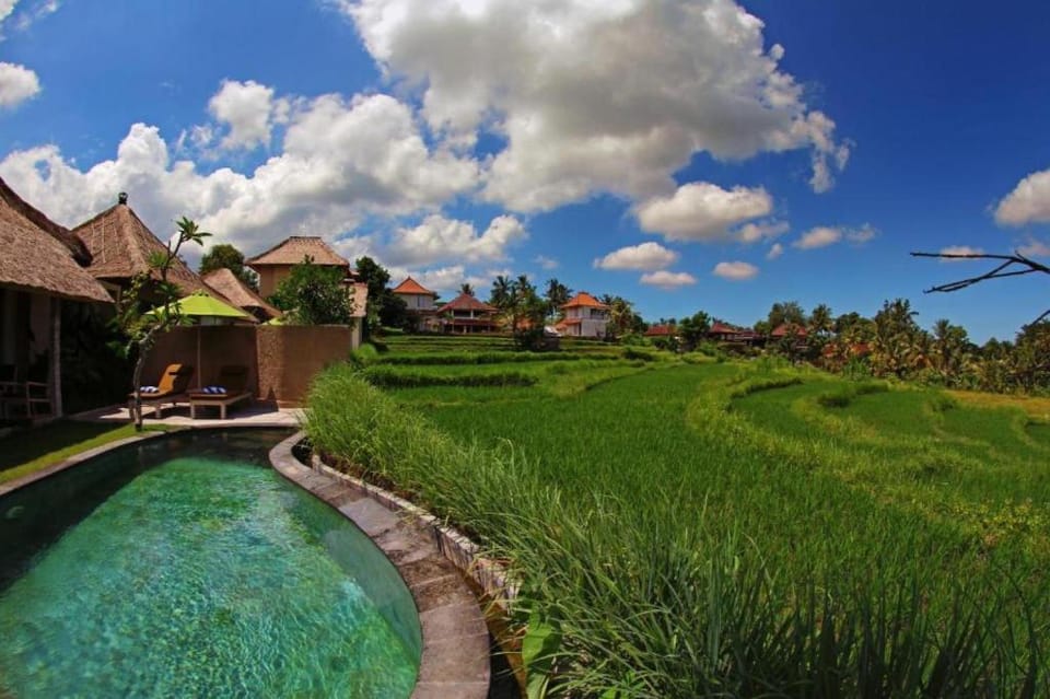 Cozy 1 BR Private Pool Villa #L171 Villa in Ubud