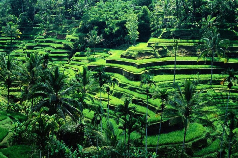 Romantic 1 BR Private Pool #L99 Villa in Ubud