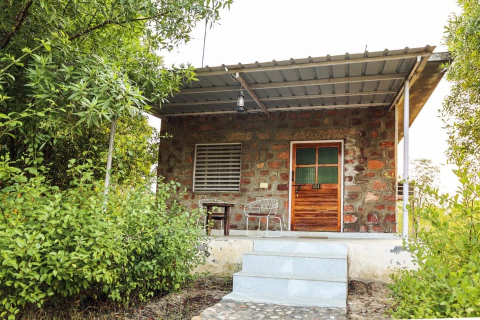 Jawai Bera Leopard Camp Resort in Rajasthan