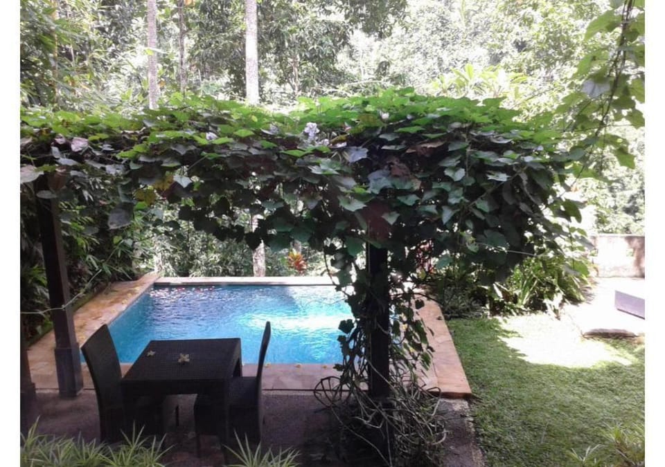 Luxury 1 BR  Private Pool Villa #NP2 Villa in Tampaksiring