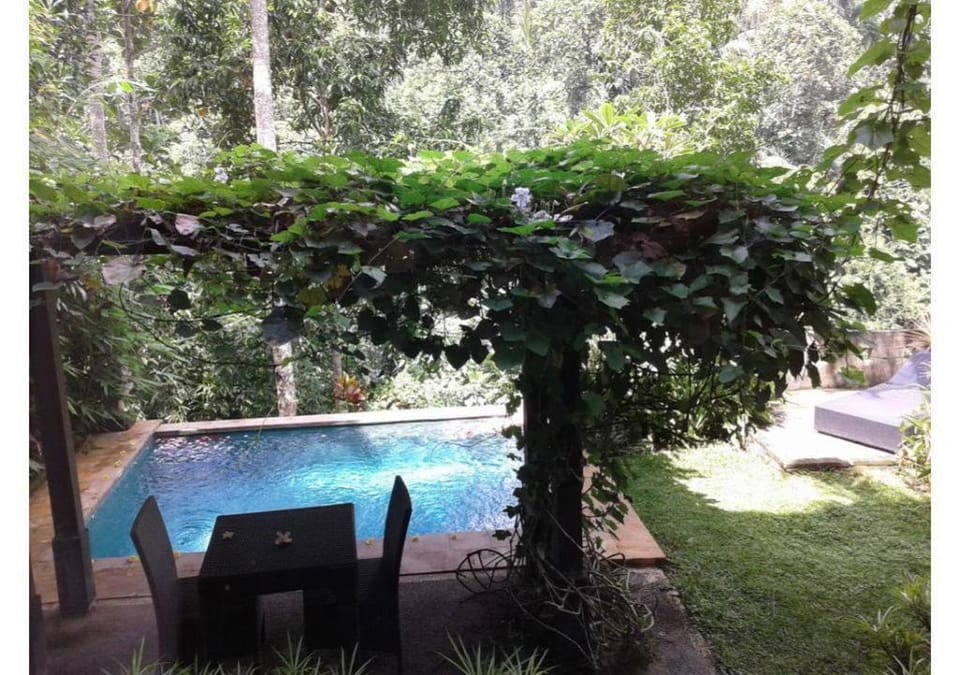 Luxury 1 BR  Private Pool Villa #NP2 Villa in Tampaksiring
