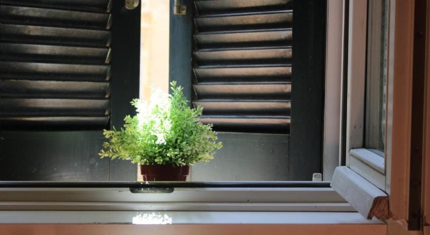 Colosseum New Charming Apartment Apartment in Rome