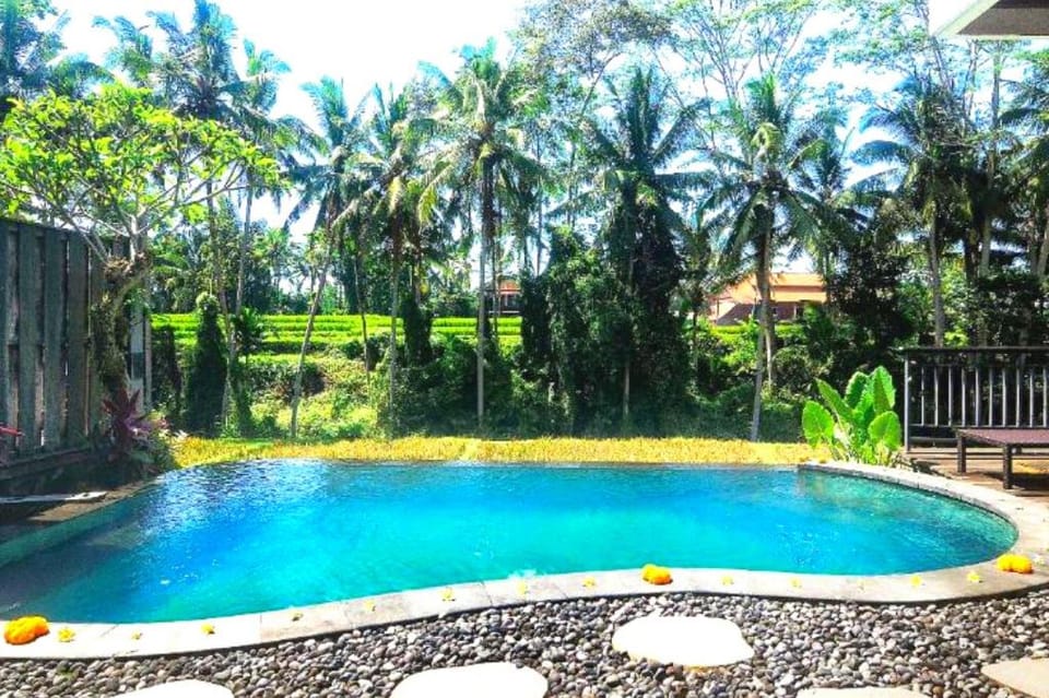 Cozy 1 BR- Private Pool Villa #Z21. Villa in Ubud