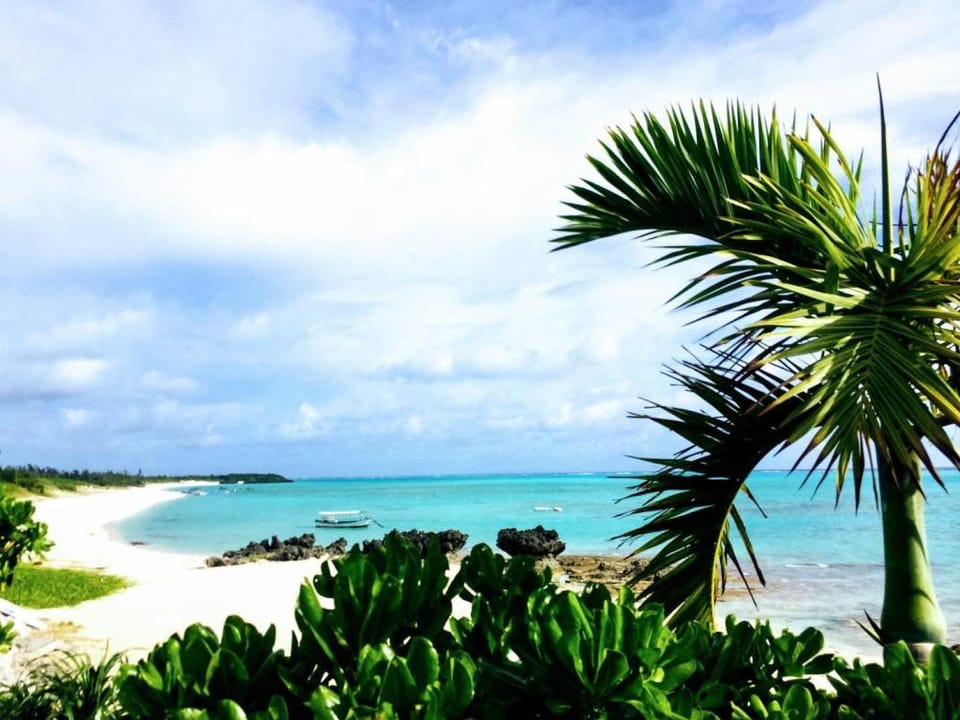 Yoron Island *Tandy-House*01 convenient location Vacation rental in Japan
