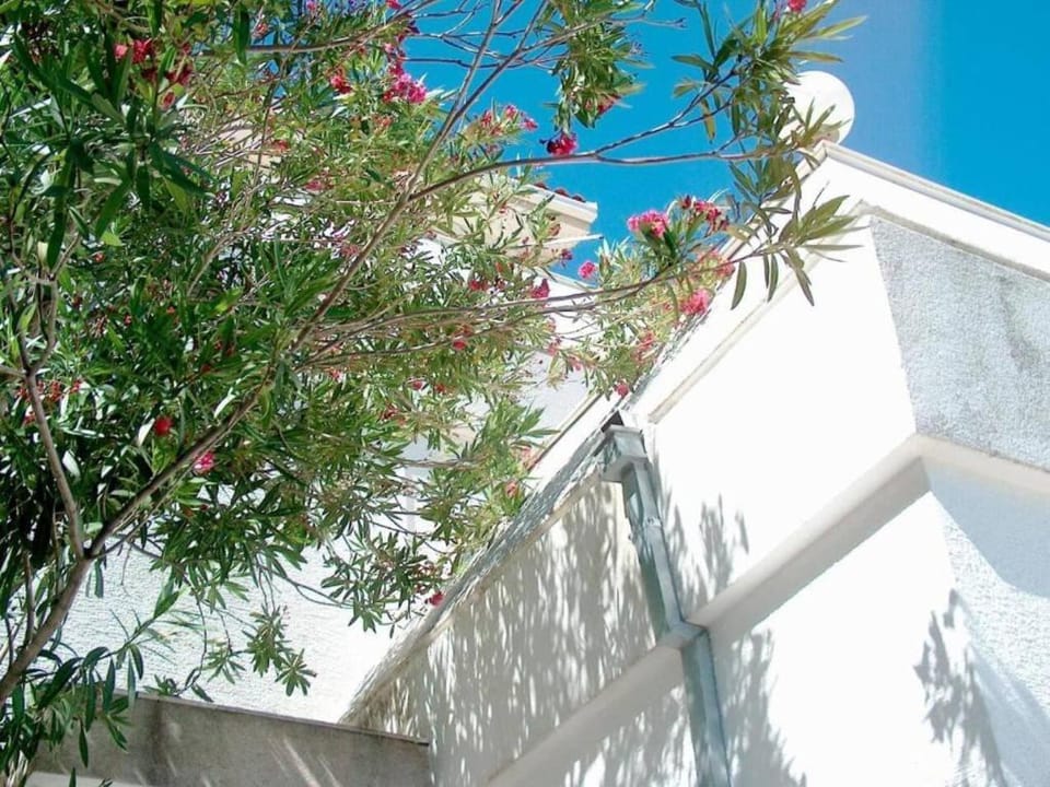 Studio Apartment with Sea View @ Ground Floor Apartment in Šibenik-Knin County, Croatia