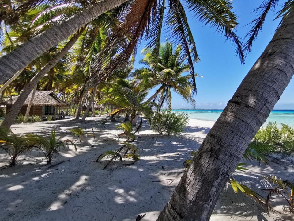 AOTERA GUEST HOUSE Bed and Breakfast in French Polynesia