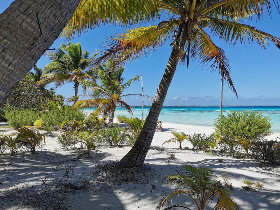 AOTERA GUEST HOUSE Bed and Breakfast in French Polynesia