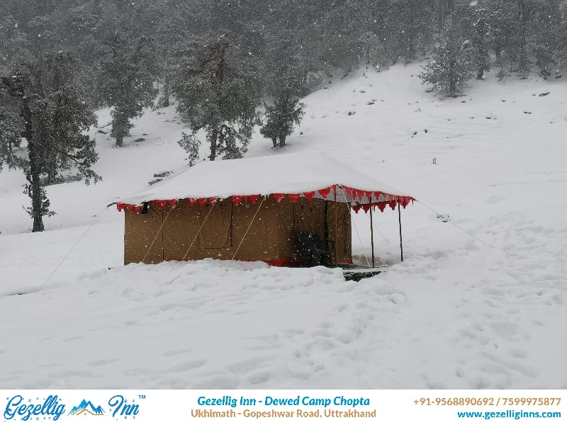 Gezellig Inn - Dewed Camp Vacation rental in Uttarakhand