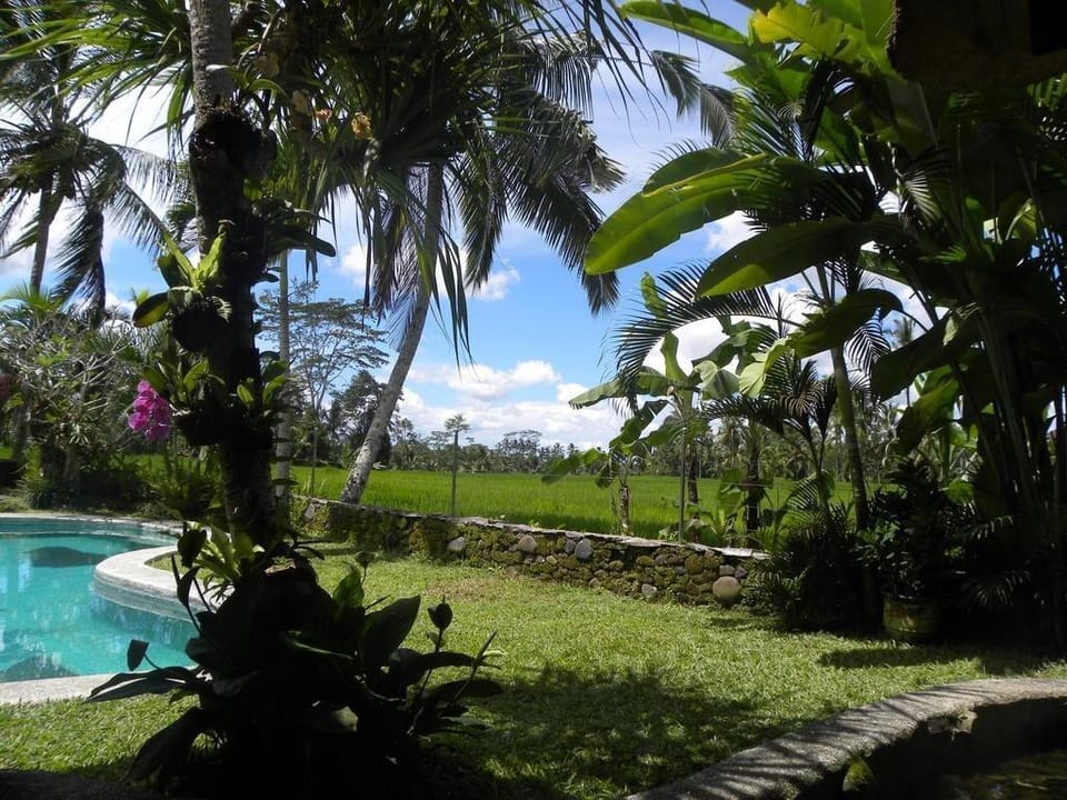 Stunning 1 BR Standard Room #Z153 Vacation rental in Tampaksiring