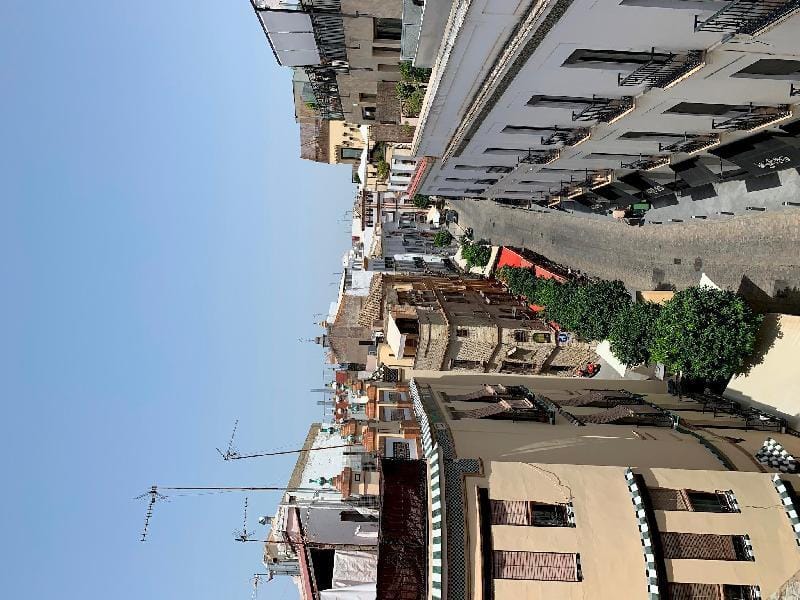 Casa Antica Apartment in Seville