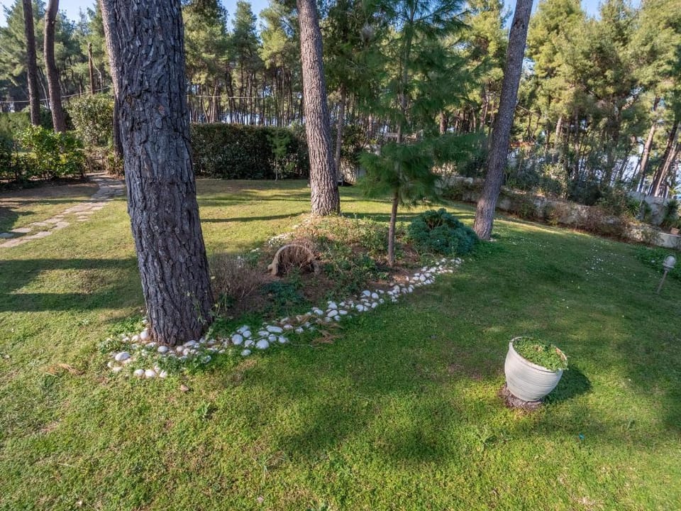 Sani Villa Elkida Villa in Halkidiki