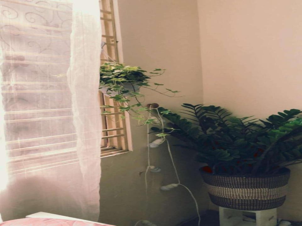 A cote de rive homestay Apartment in Hanoi