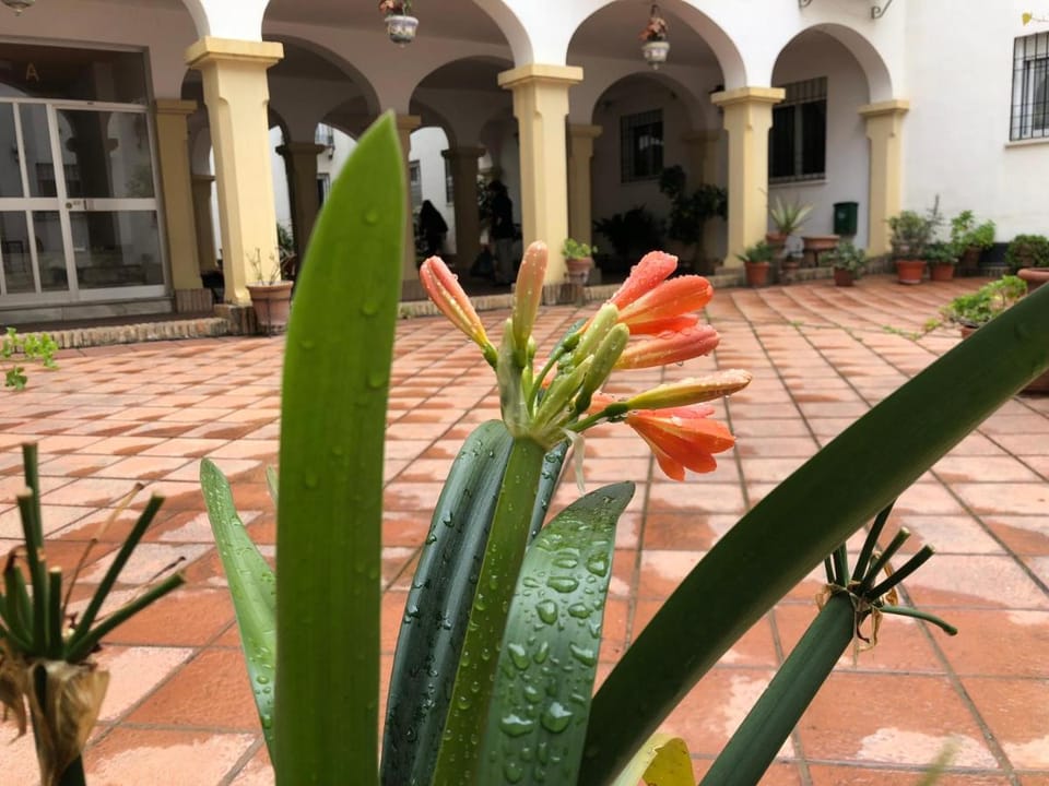 Casa De Los Espejos Hotel in Cordoba