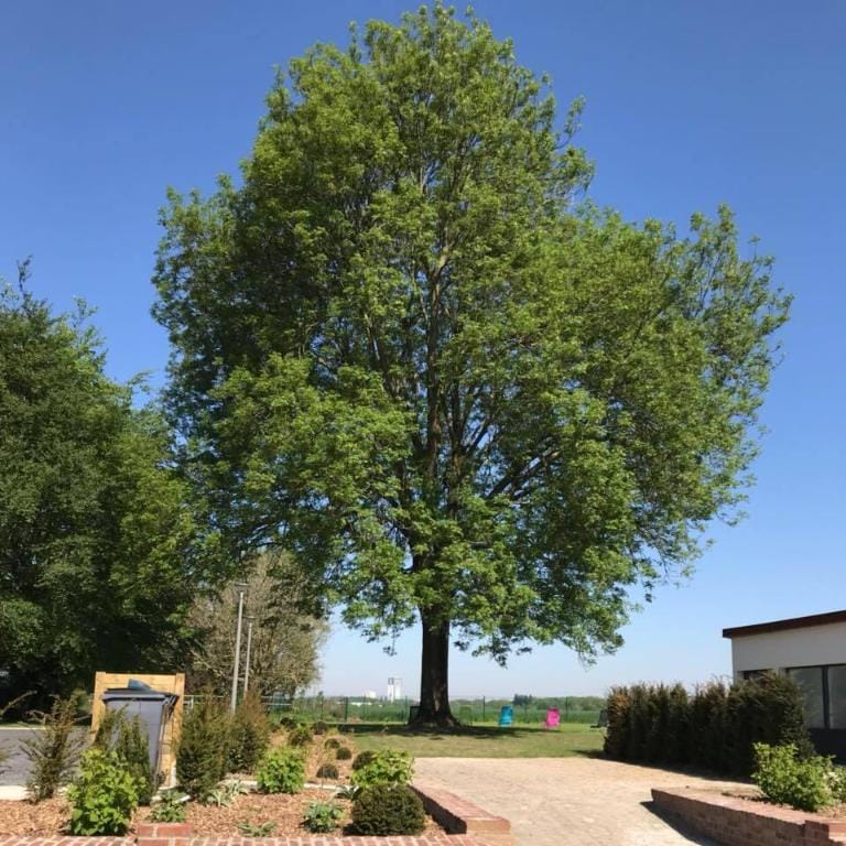Gîtes du Frêne Vacation rental in Hauts-de-France