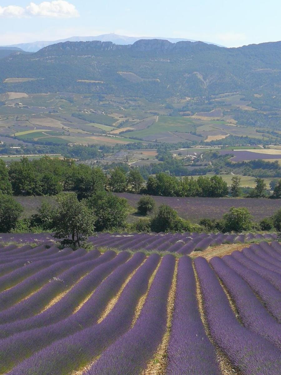 Mas en Baronnies Provencales Bed and Breakfast in Buis-les-Baronnies