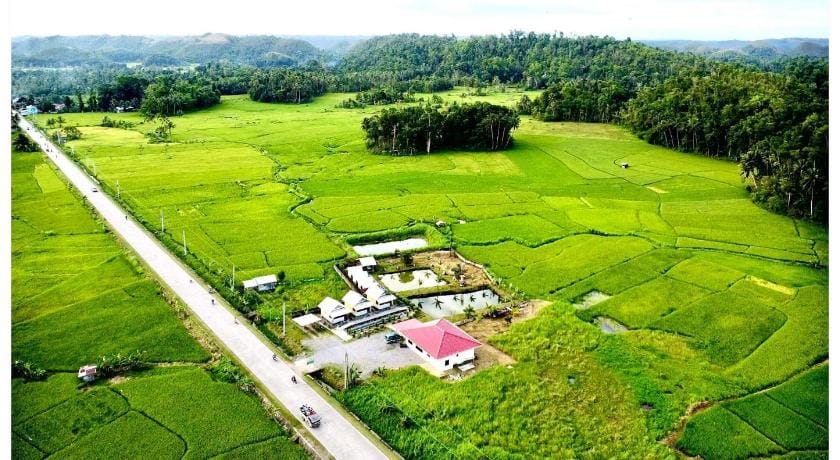 Jazz Ferme Inn Batuan Bohol Apartment in Central Visayas