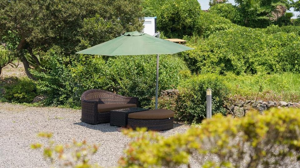 Jeju joyhouse Bed and Breakfast in South Korea