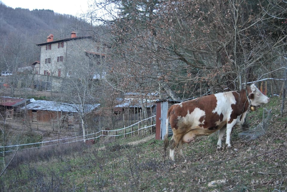 Holiday House La Magnana Farm Farm Stay in Tuscany