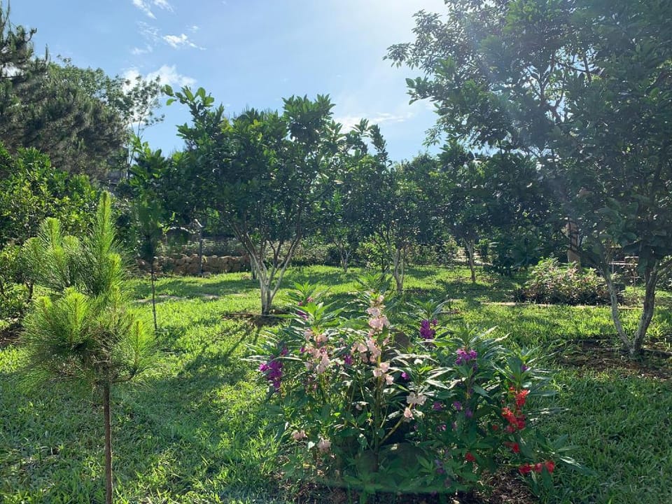 Homestay Mẹ Nâu - 3pn, bể bơi nhỏ, BBQ sân vườn Villa in Laos