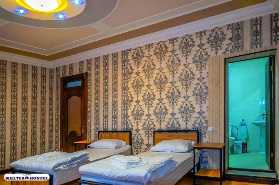 Shelter-Hostel Apartment in Europe