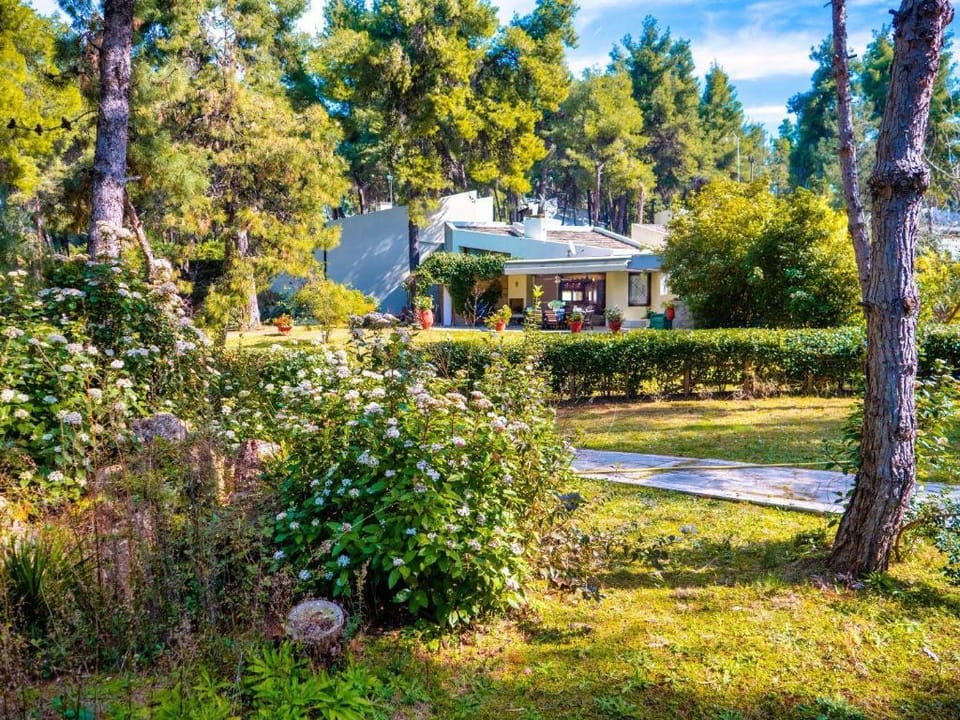 Sani Villa Elkida 6 Villa in Halkidiki