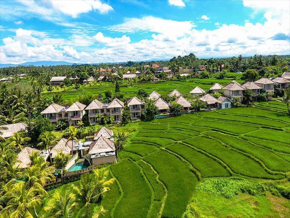 Fabulous 2 BR Pool Villa W/Rice Terrace View #V164 Villa in Ubud