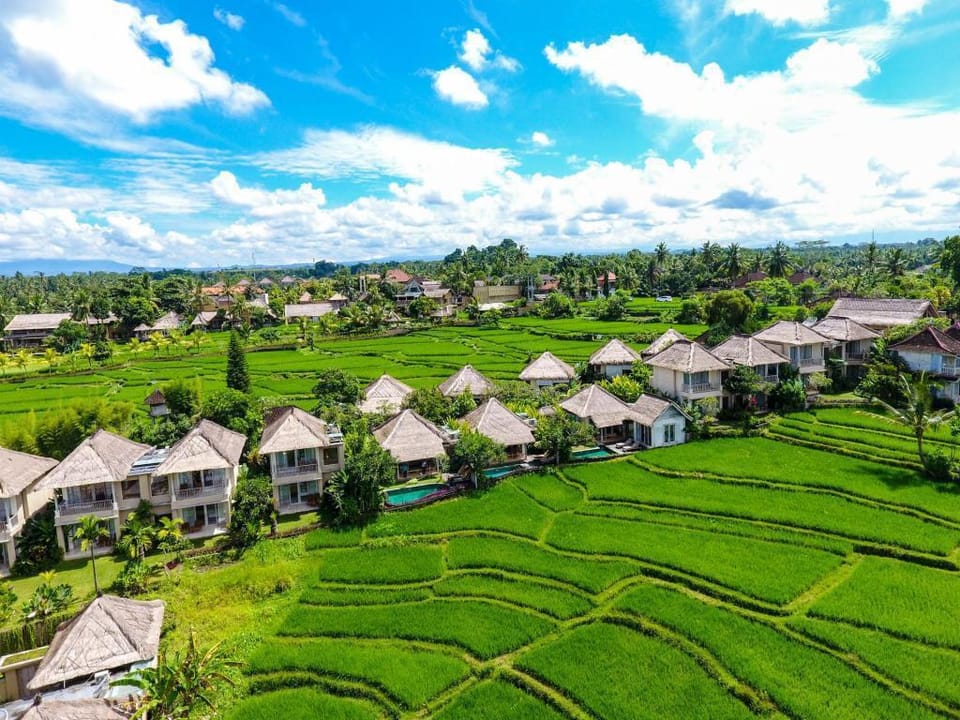 Fabulous 2 BR Pool Villa W/Rice Terrace View #V164 Villa in Ubud