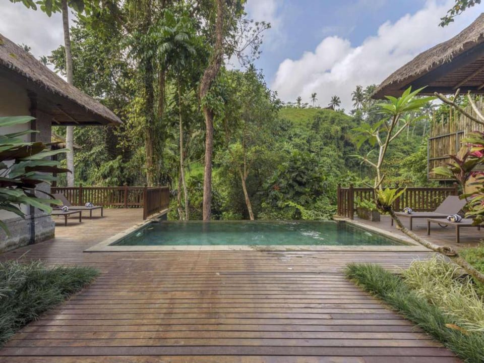 Infinity 1 BR Presidential Pool Villa #V141 Villa in Ubud