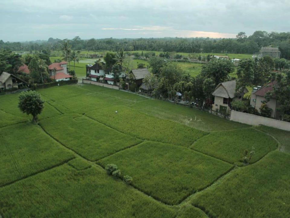 Cozy 1 Bedroom Superior Room Ubud NE36A Vacation rental in Ubud