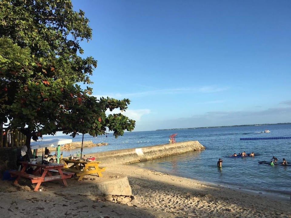Fully Furnished One Bedroom Unit in Mactan Newtown Apartment in Lapu-Lapu City