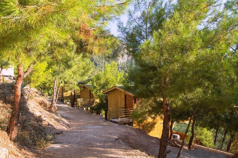 TREE HOUSES Vacation rental in Muğla Province
