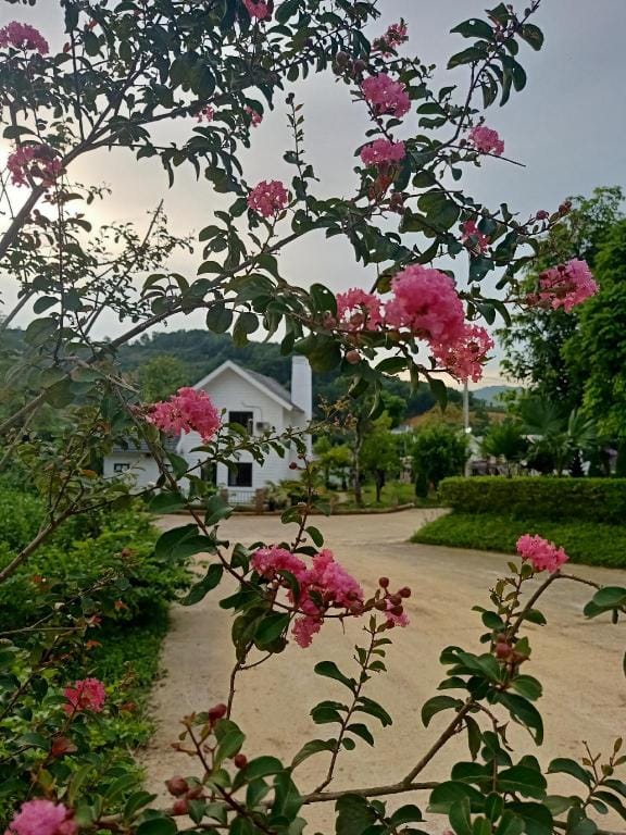 Villa hướng hồ, bể bơi chung, BBQ sân vườn Villa in Laos