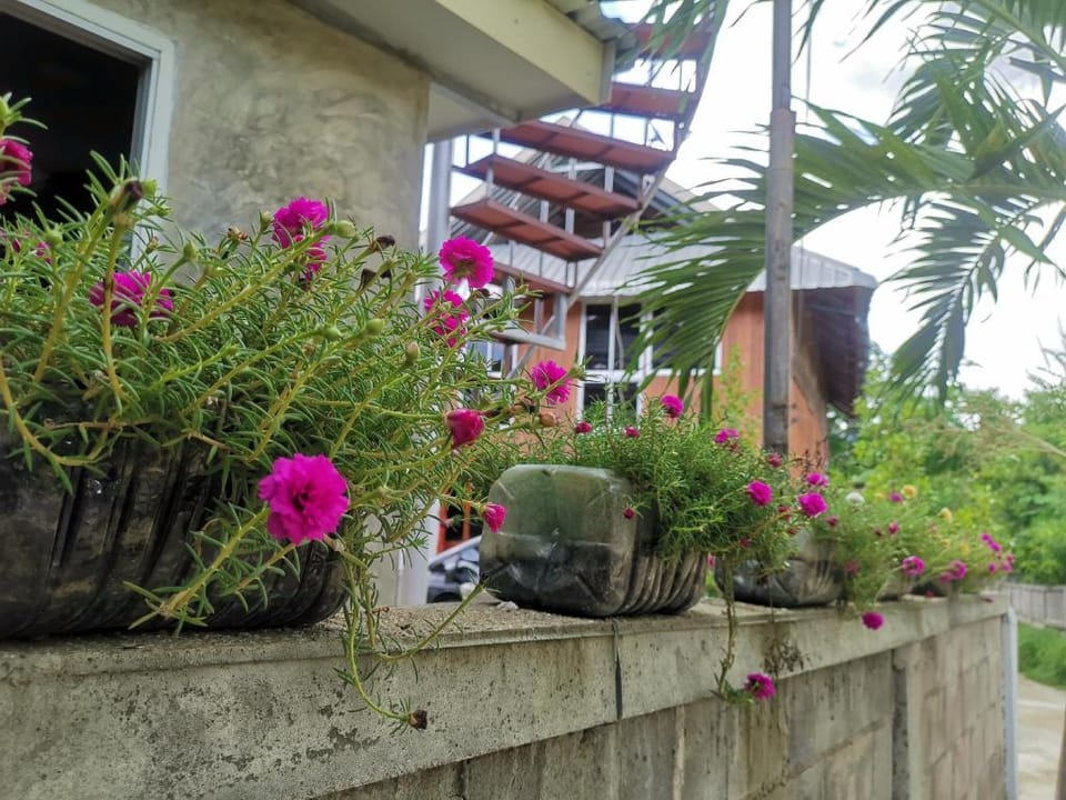 Mint Organic Farm Stay,Wangchin,Phrae Vacation rental in Thailand