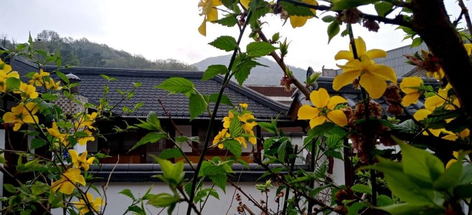 Jeonju Hanok Village Late Sleep Travel ★Entire House ★Hyanggyo-gil 155 - Chamdawon Vacation rental in South Korea